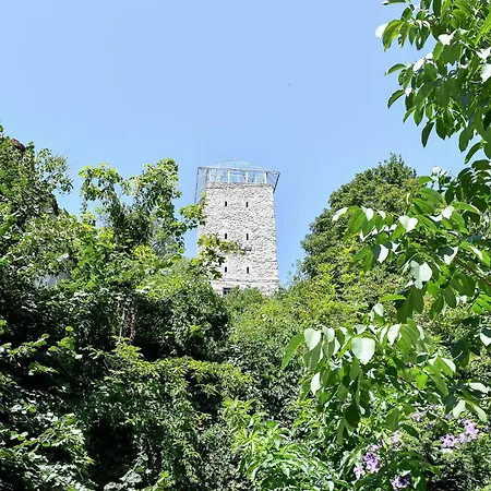Casa Baritiu Hotel